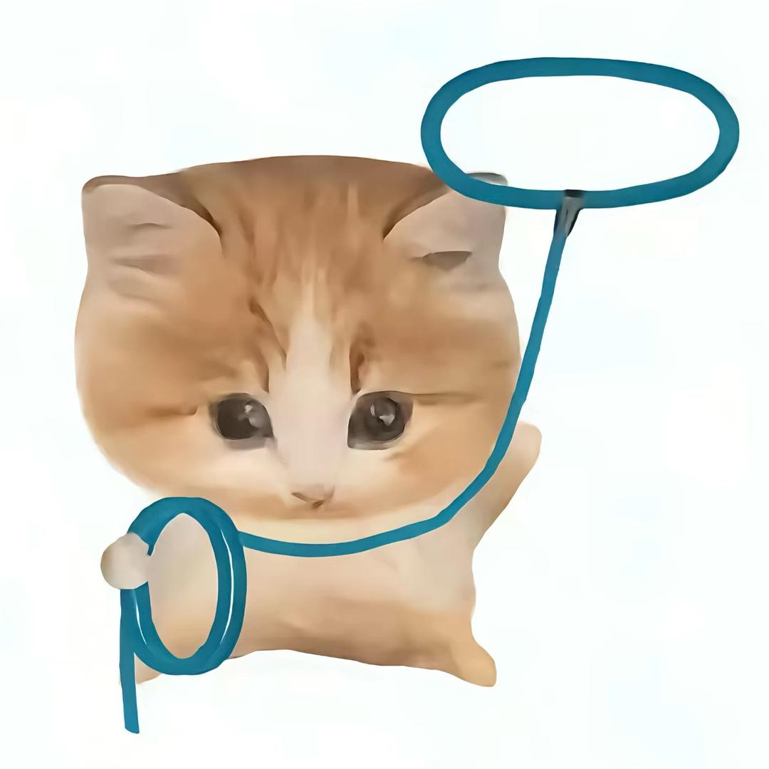 小🐟卷