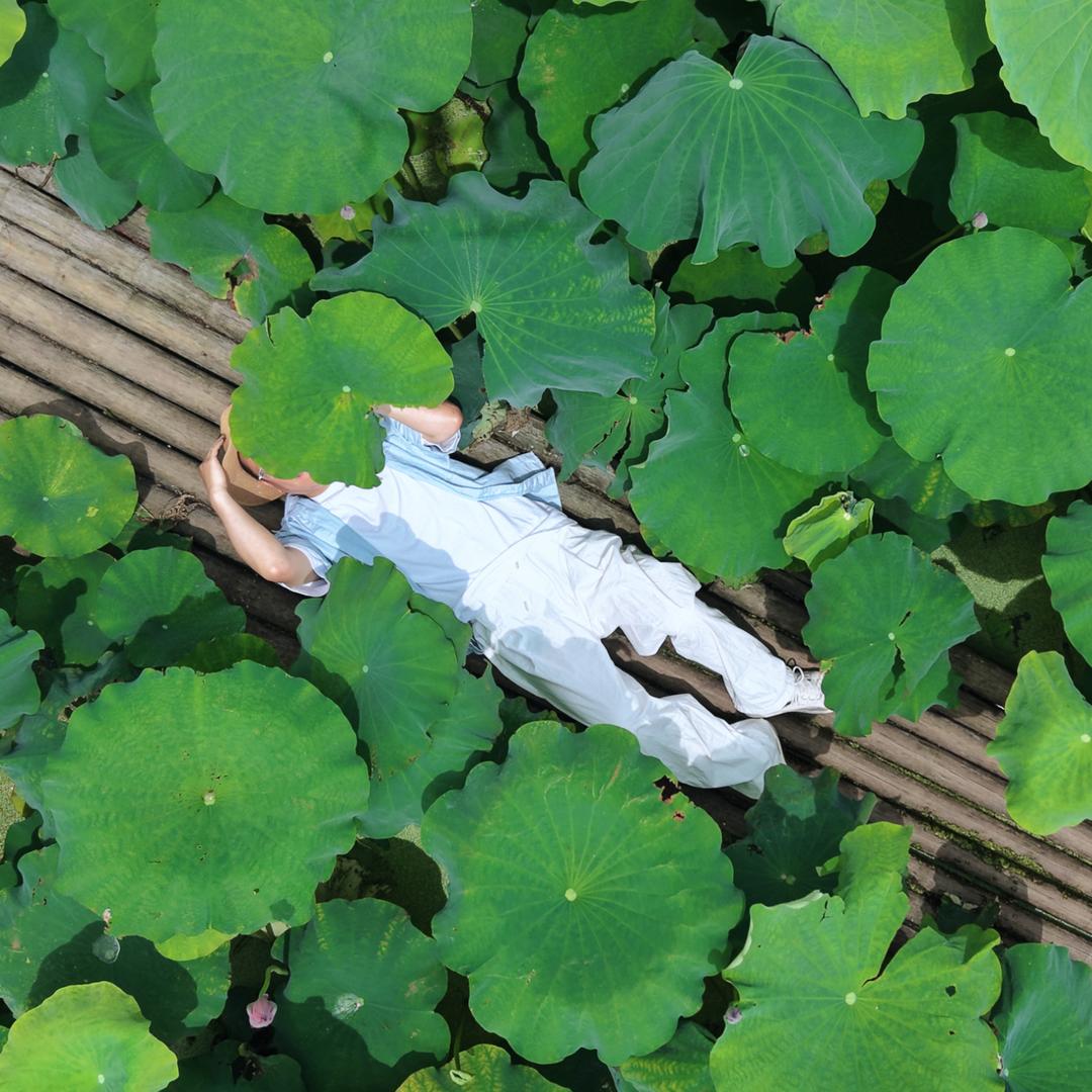 Mr氕氘氚·随拍
