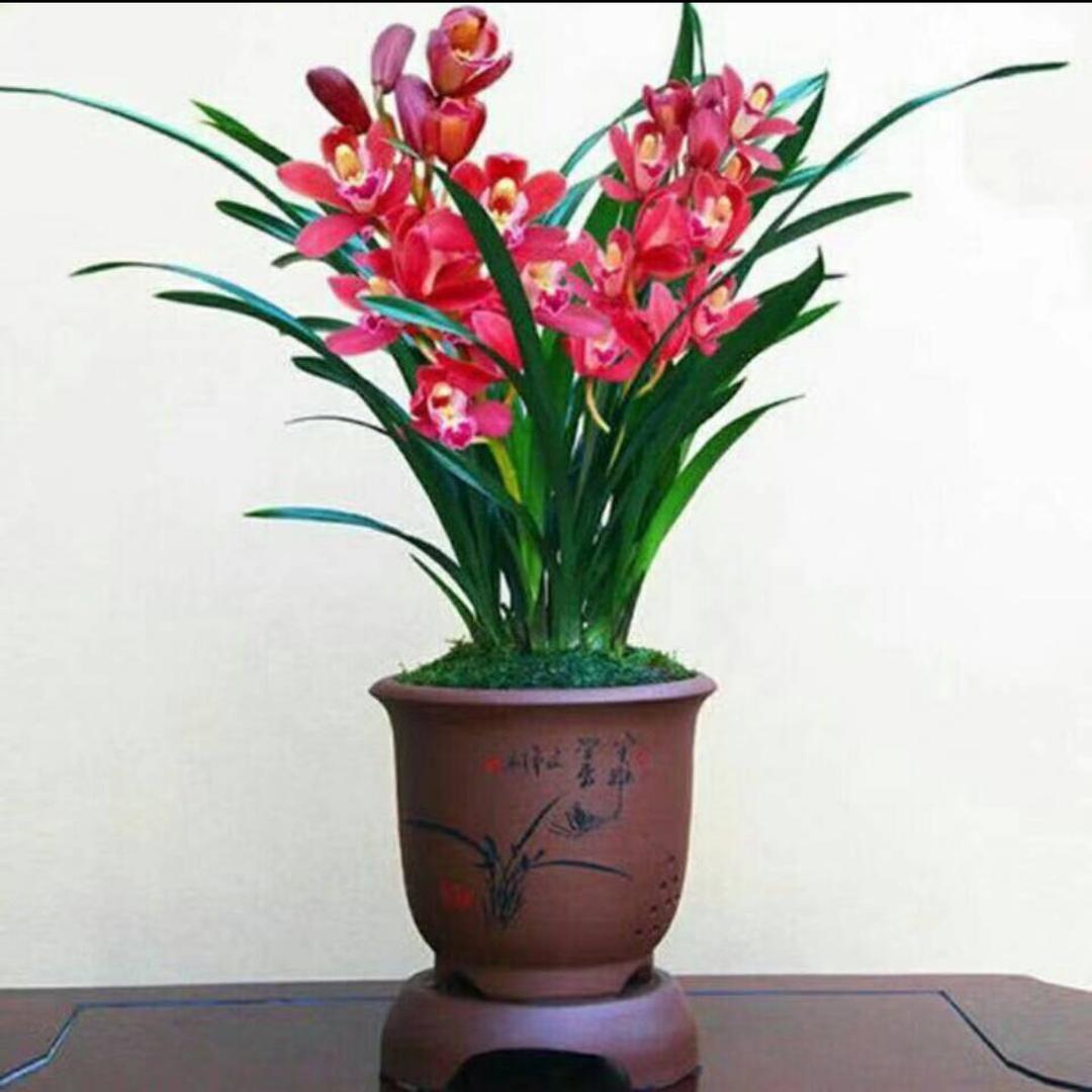 祝大家开心快乐李姐