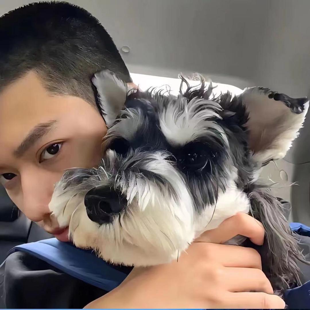 首尔纹身（东东）