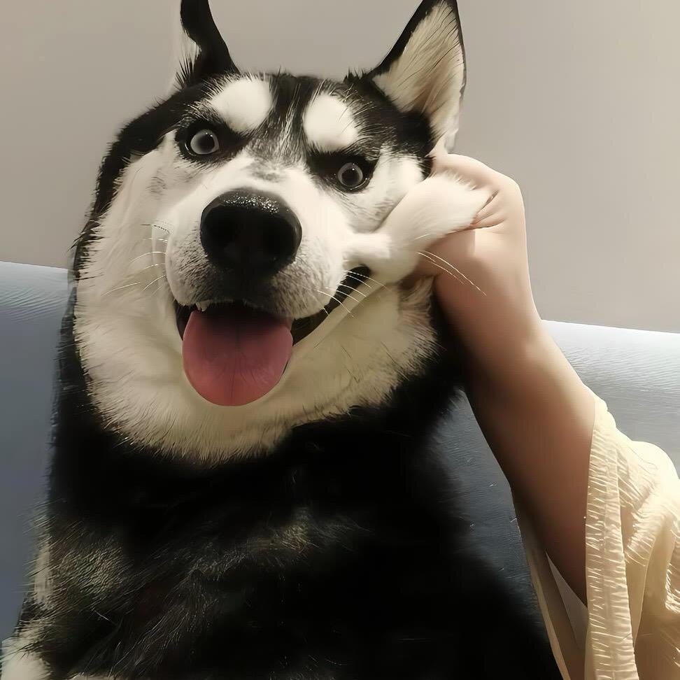 灵动推荐