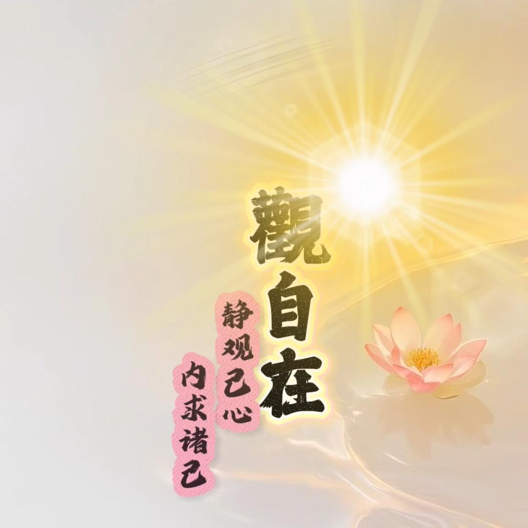 空灵愿✨