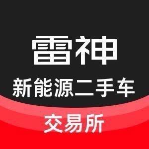 雷神新能源二手车.