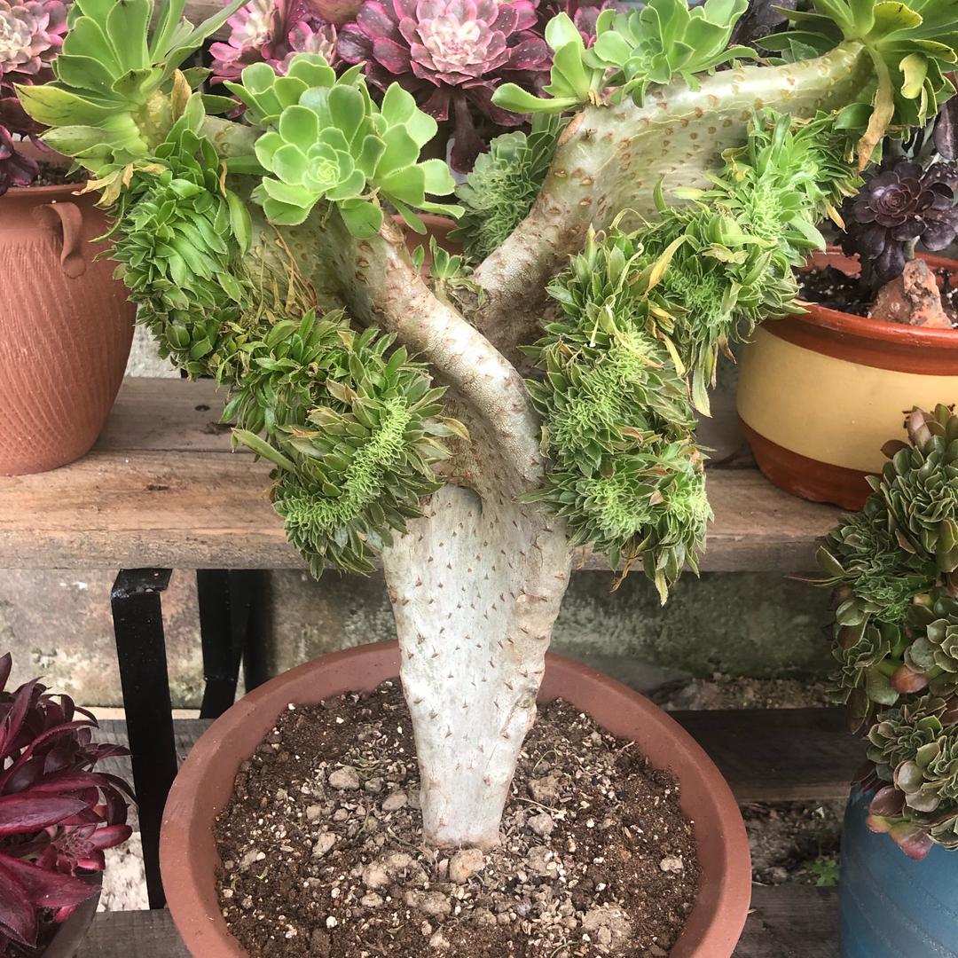 用户1775466656851宁静致远