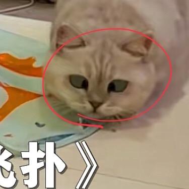 ❤️小满满的幸福生活❤️