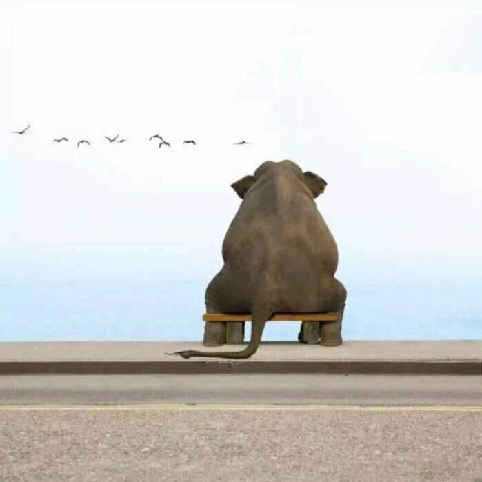 那个年代