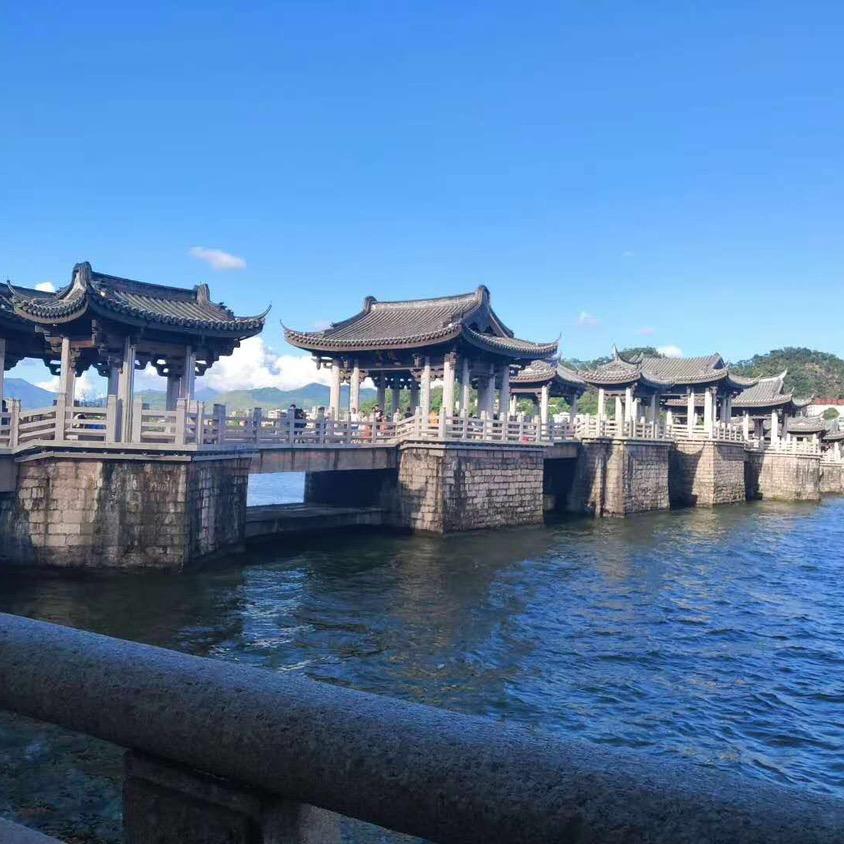 蔡鸿鸿