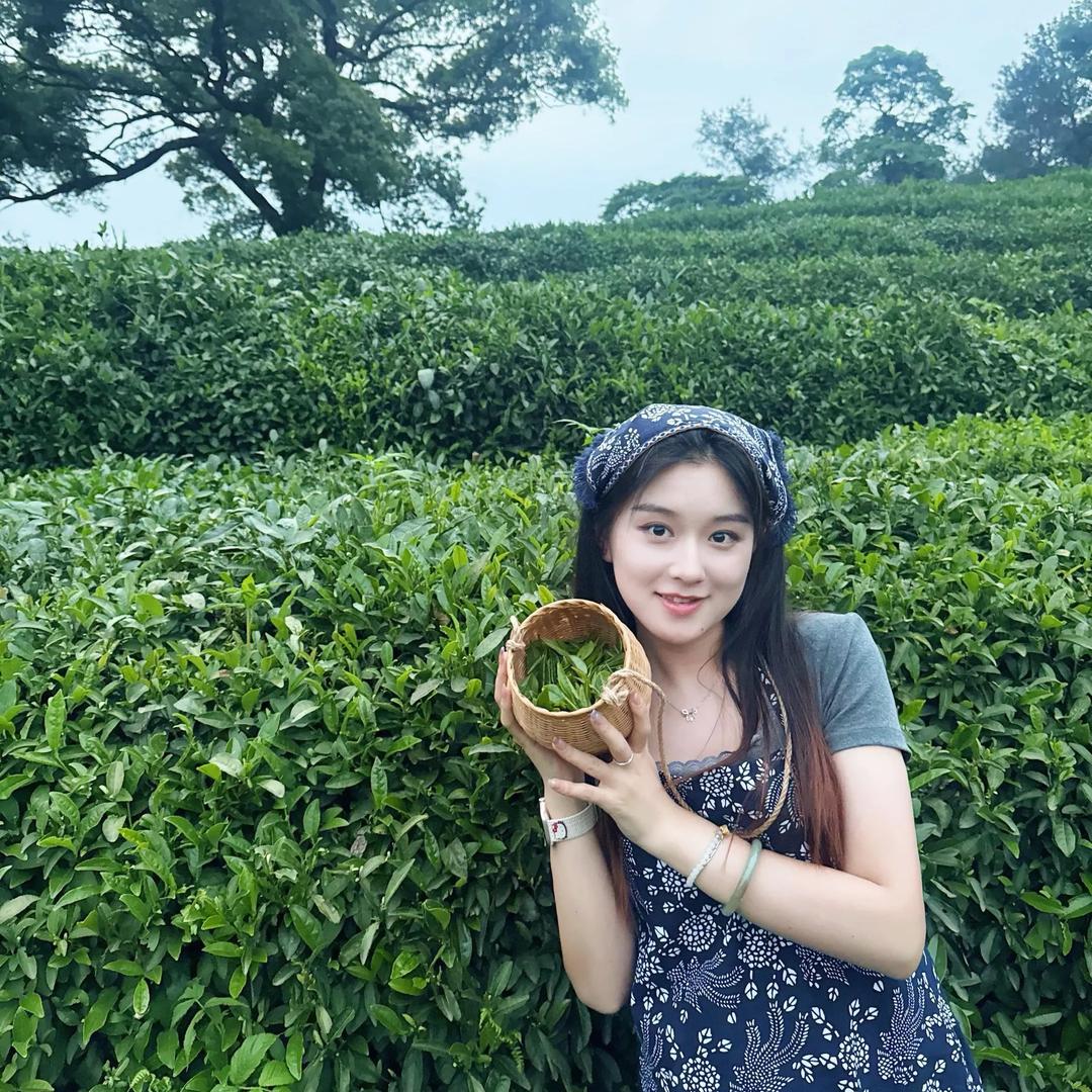 杭州龙井茶农批发