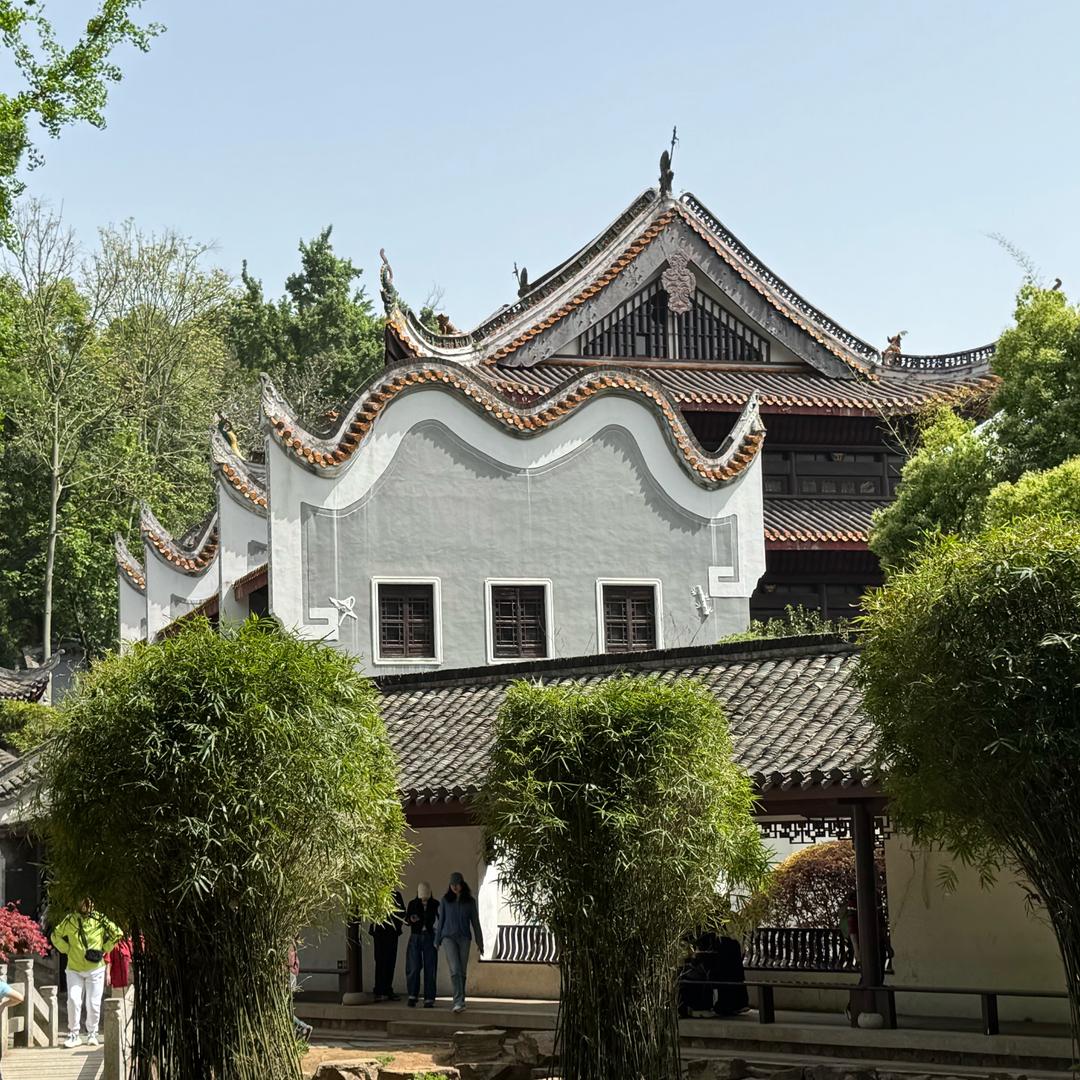 白天珠