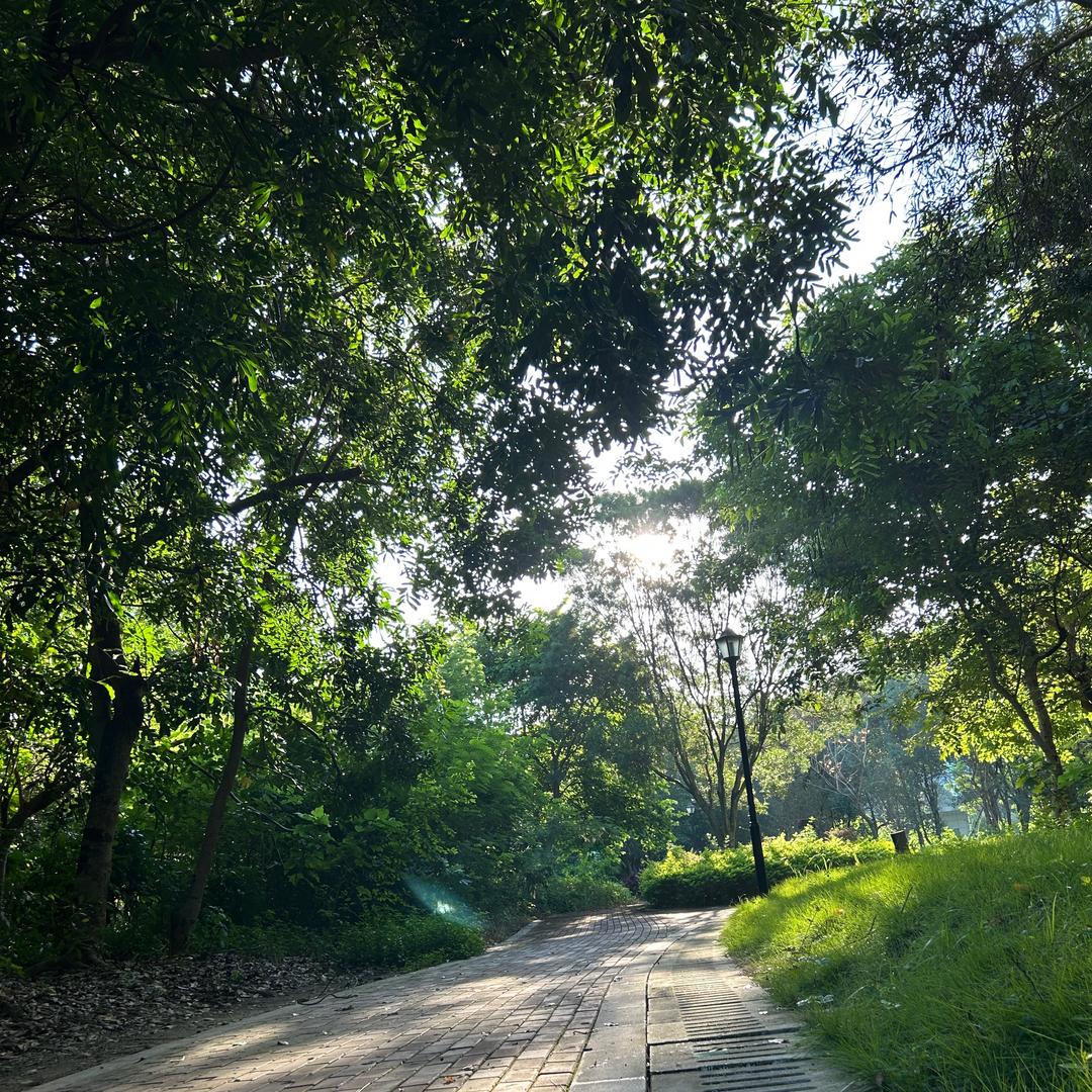 九年义务没毕业