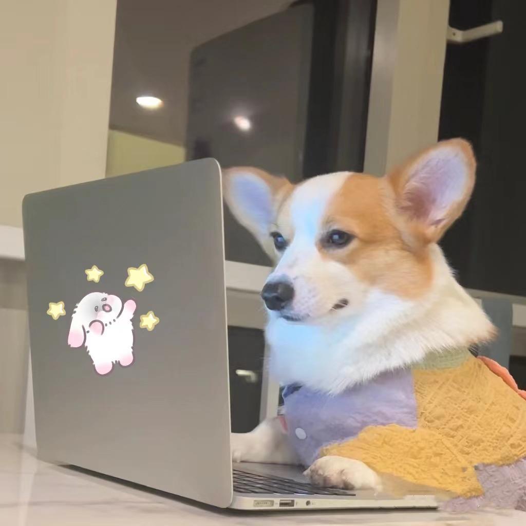 小狗营业中