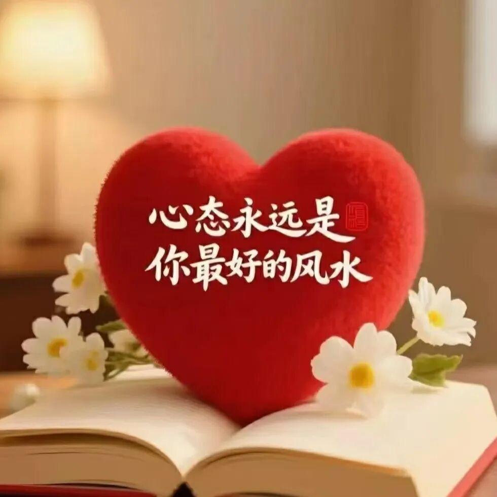 玫刺