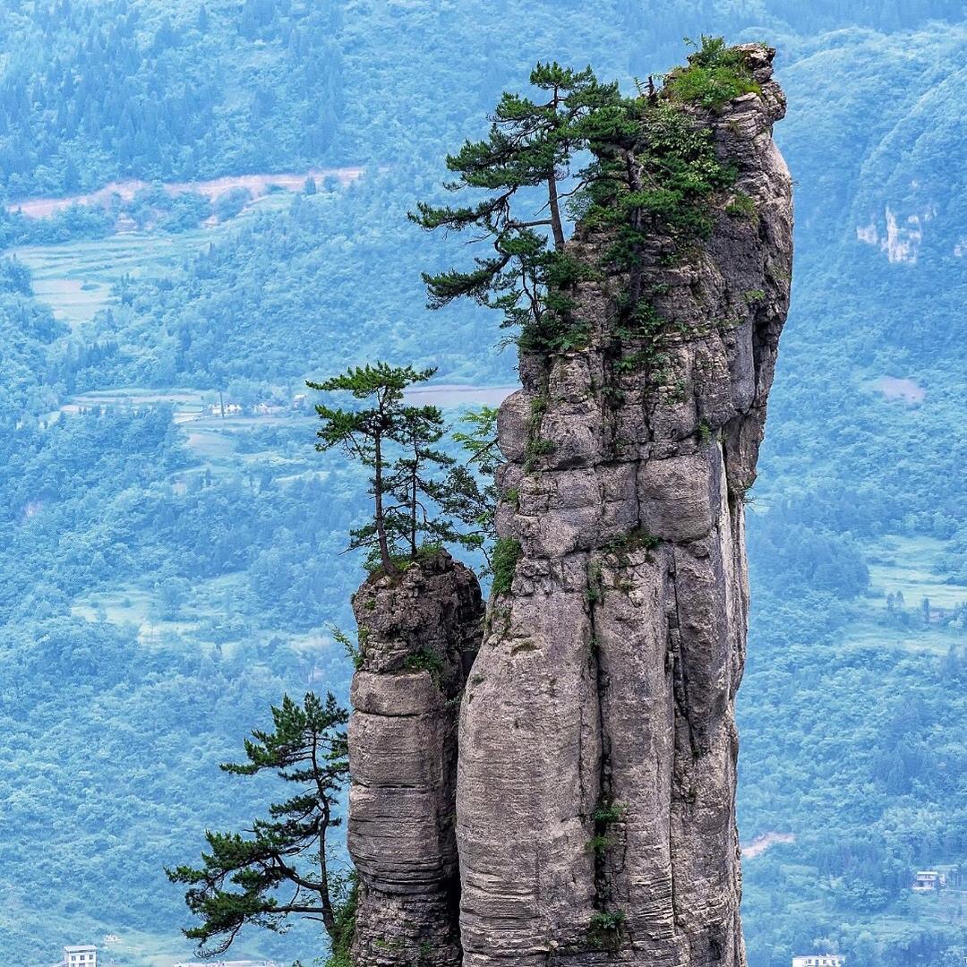 @天道酬勤