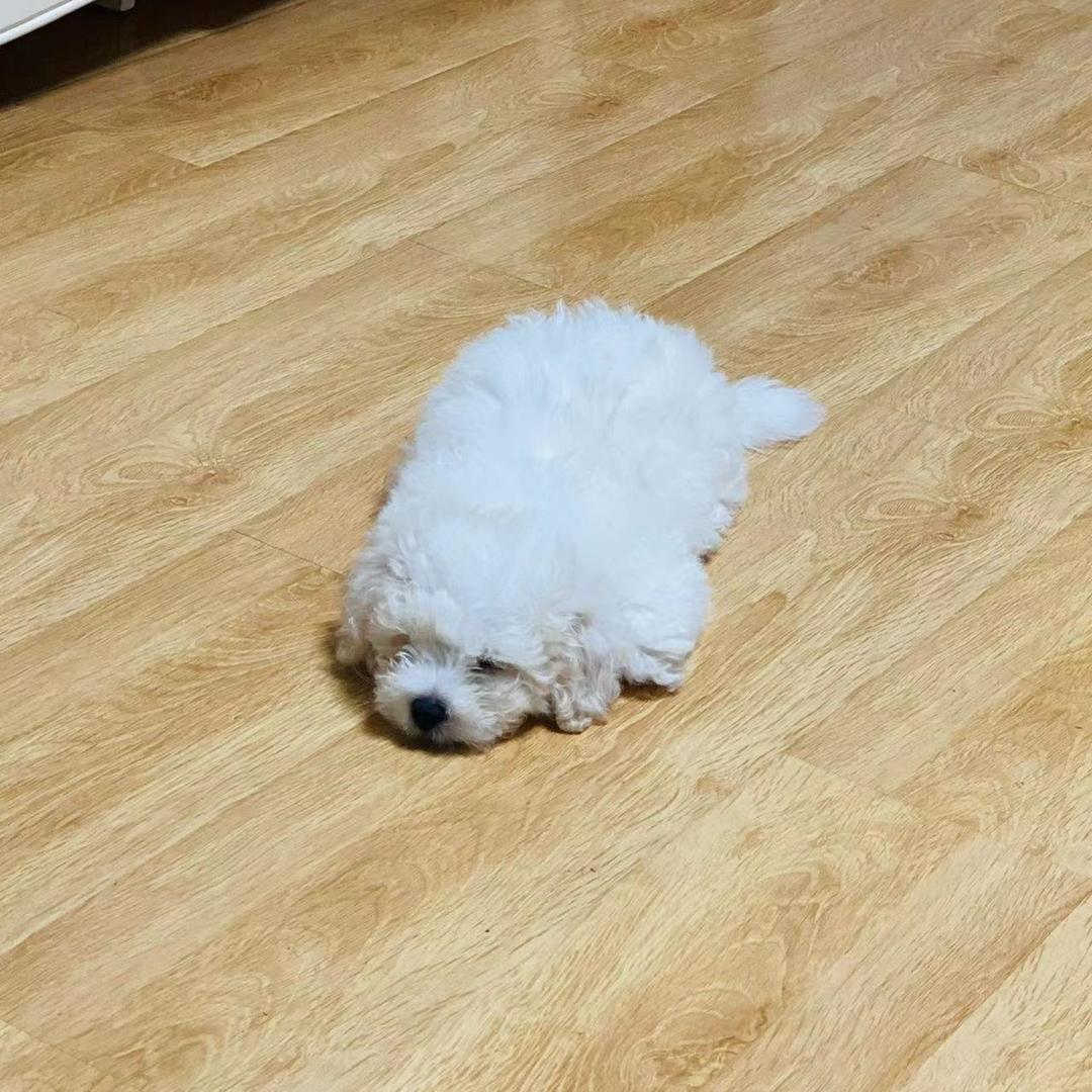 安静安静安静