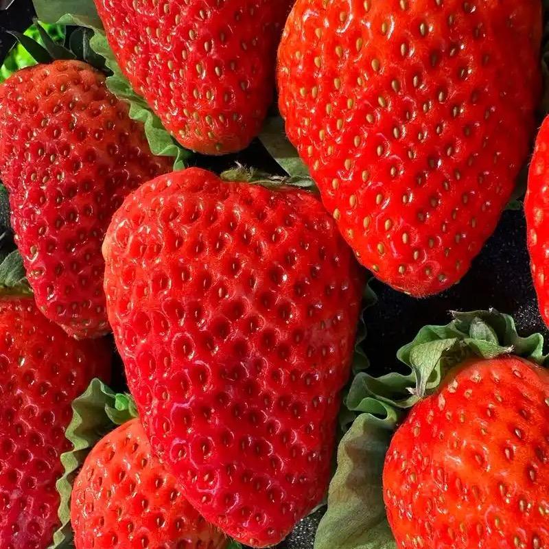 宝宝🍓爱动手