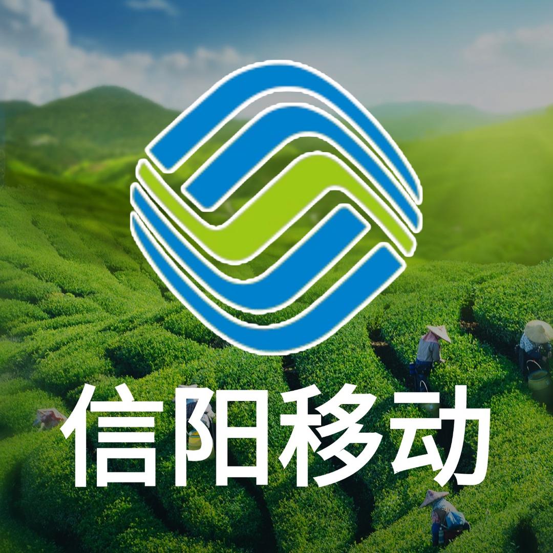 化琦