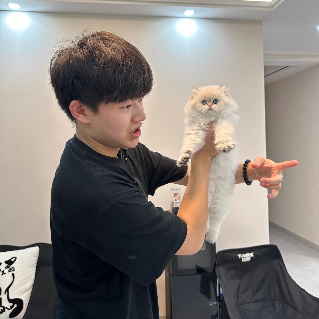 小邓抓猫