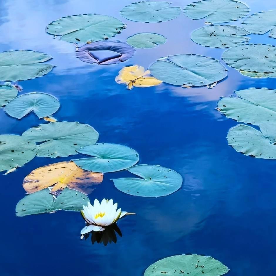 聆听