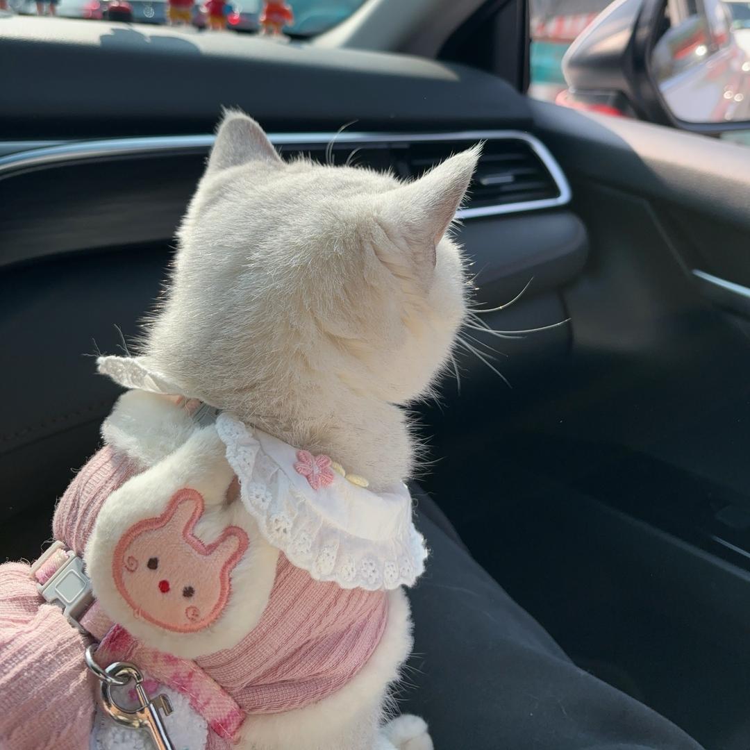 小新妈