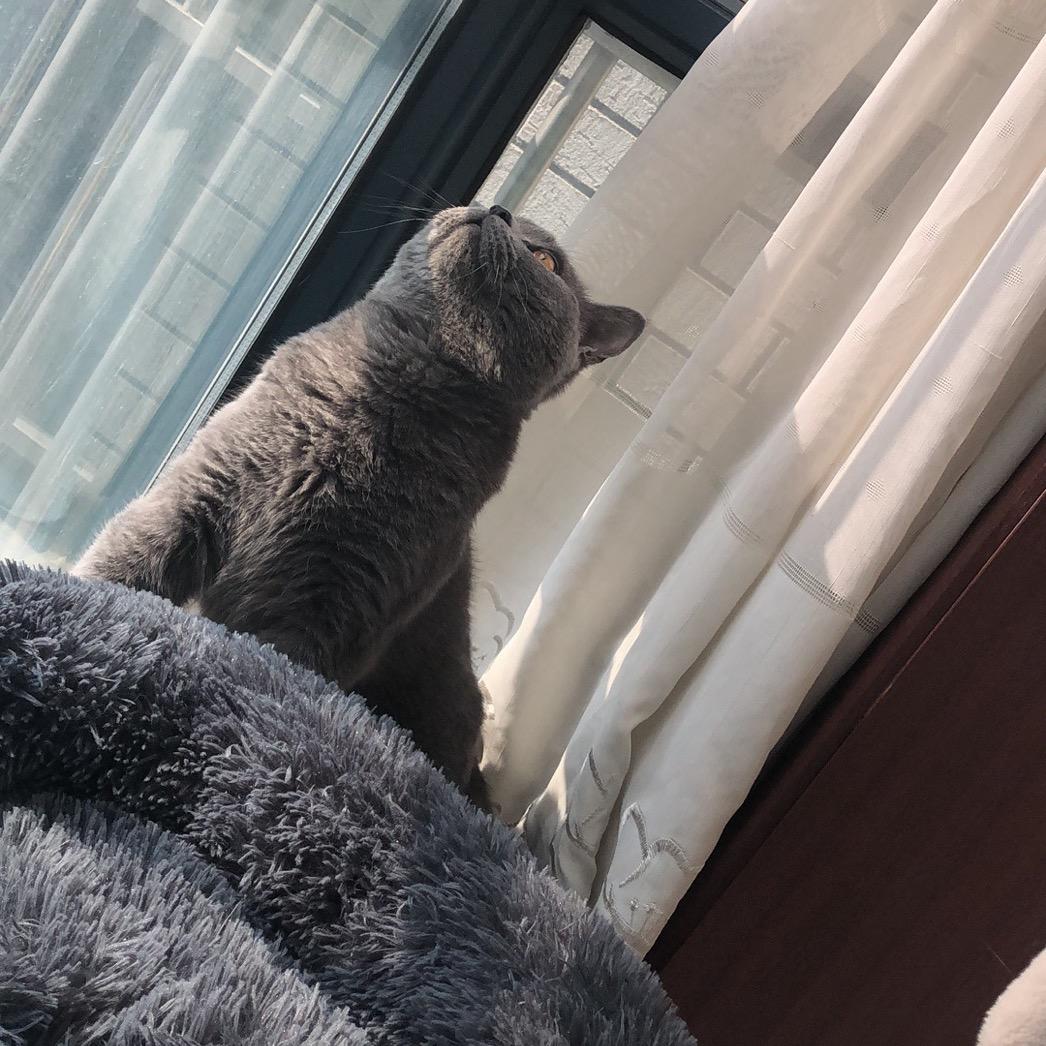 给每个女生一个家