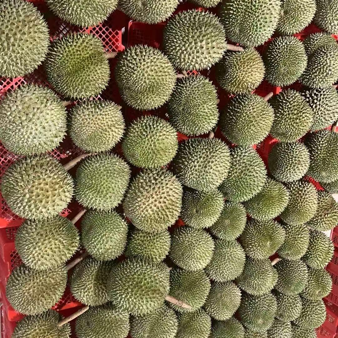 南宁星盛甄选水果店星姐水果店