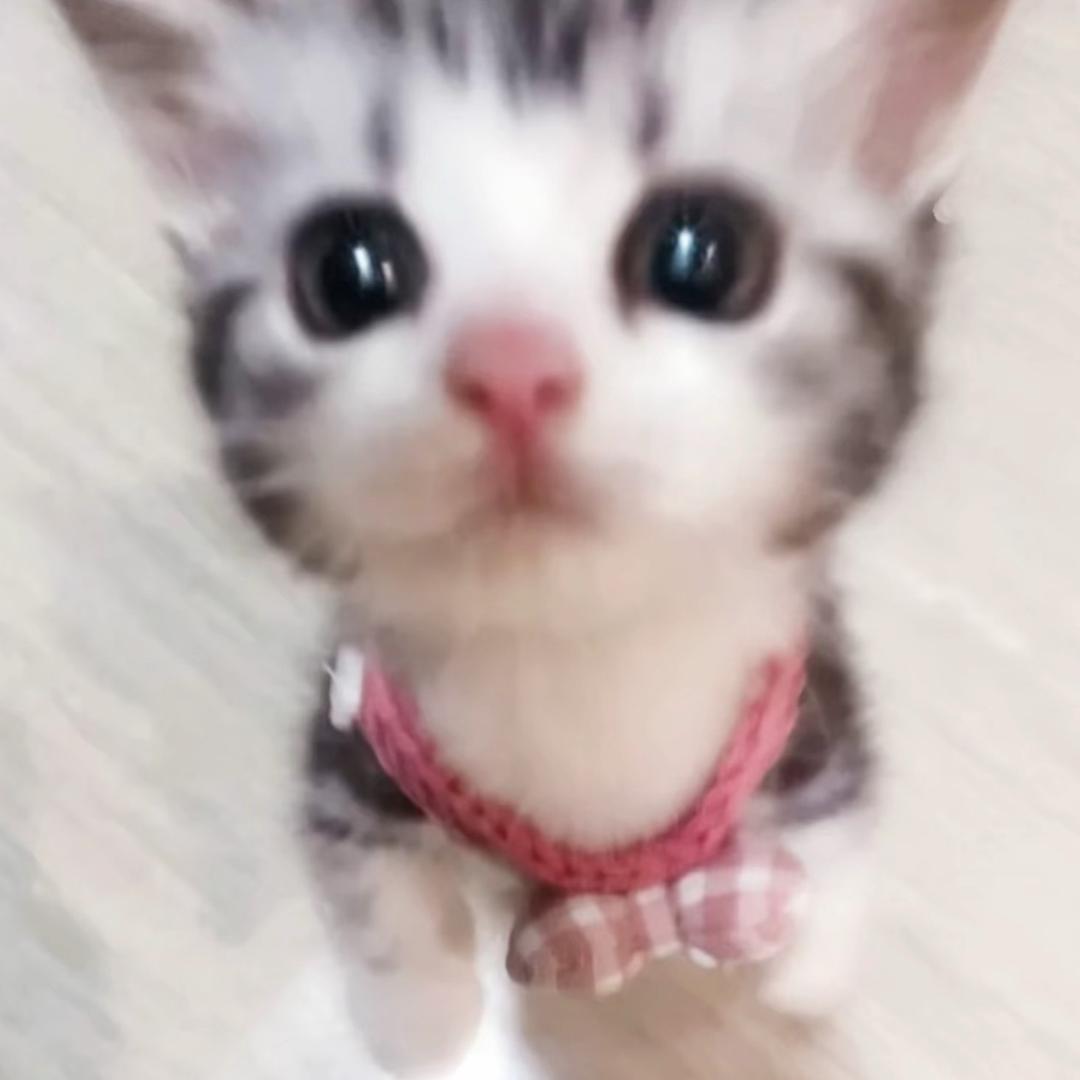 小小蔚