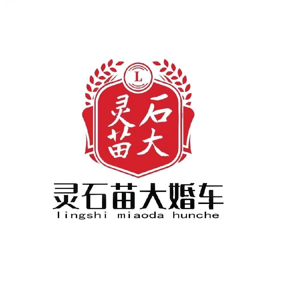 灵石县苗大用爱婚庆车队