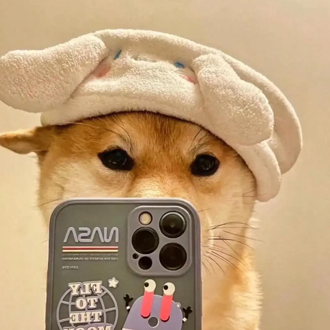 小绿