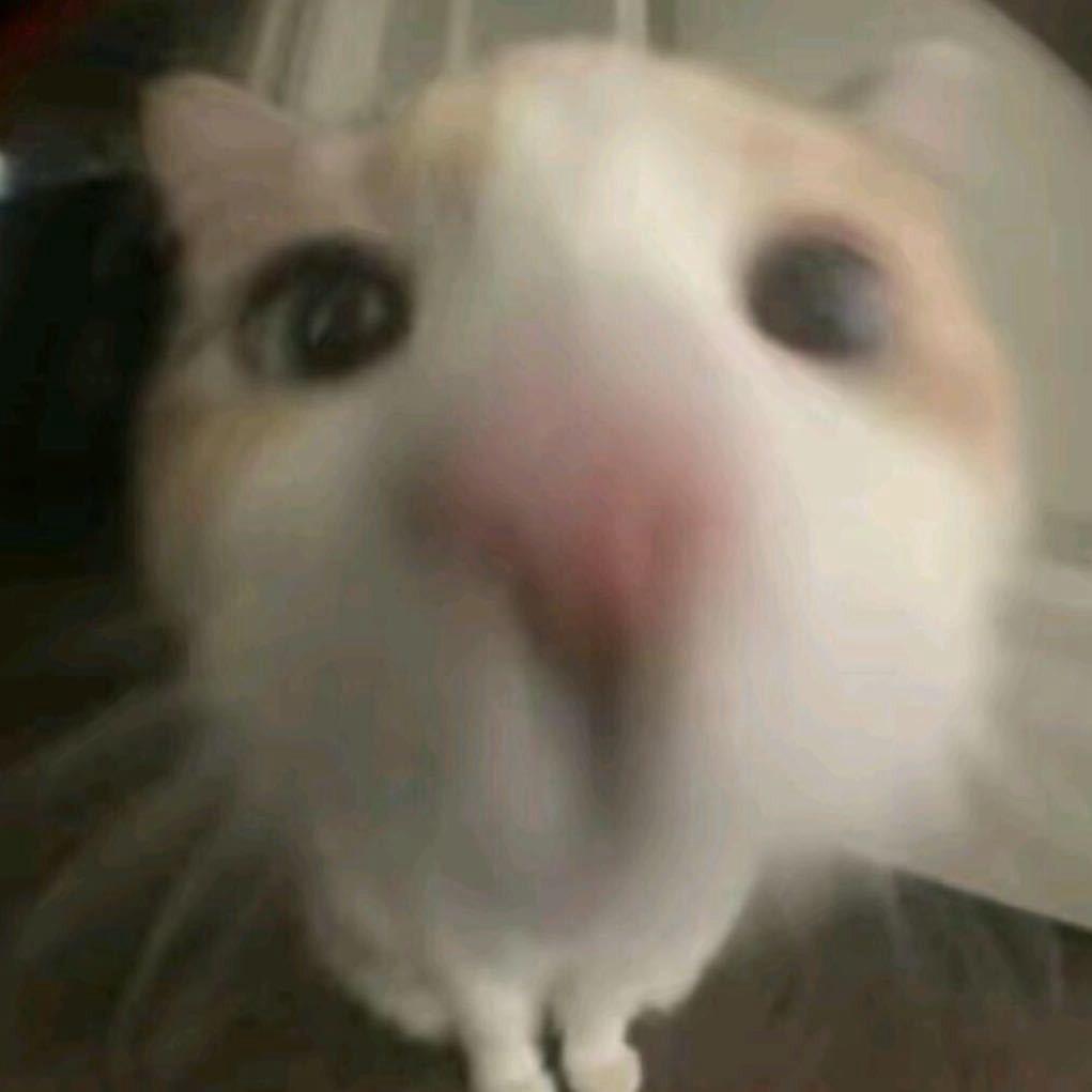 远航.