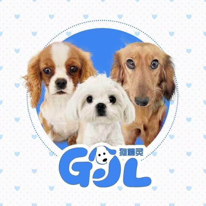 狗精灵宠物店铺