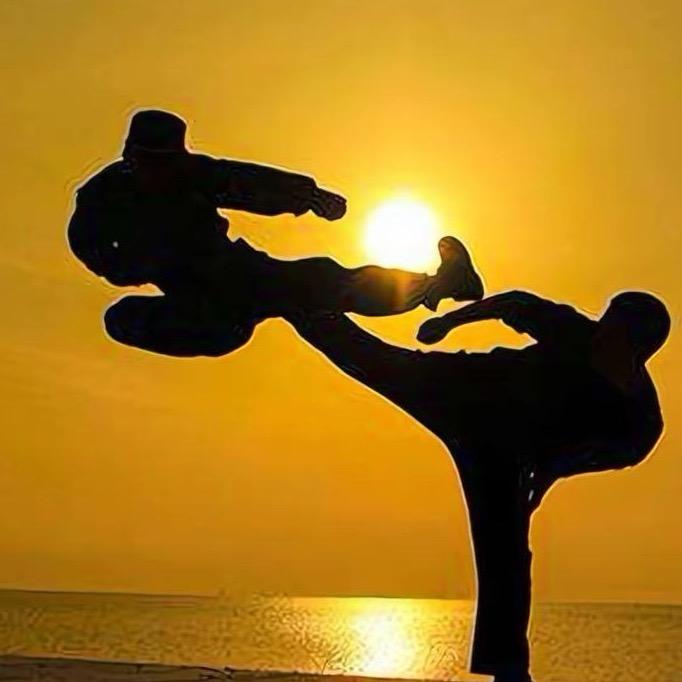 会武术的-王教练✊