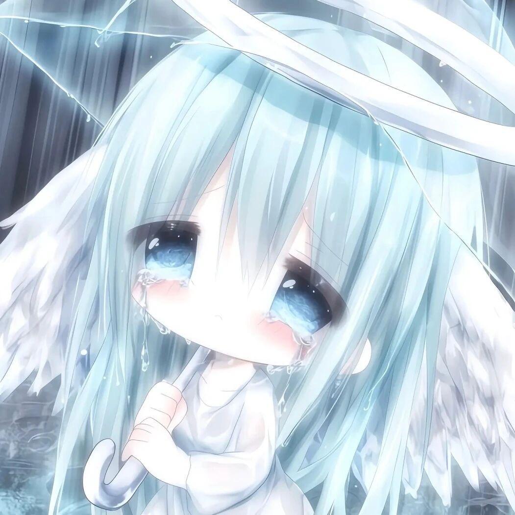 泪