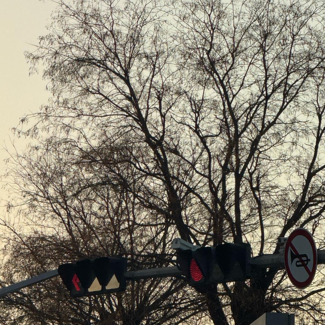 梨畔📷群山雨🌧️