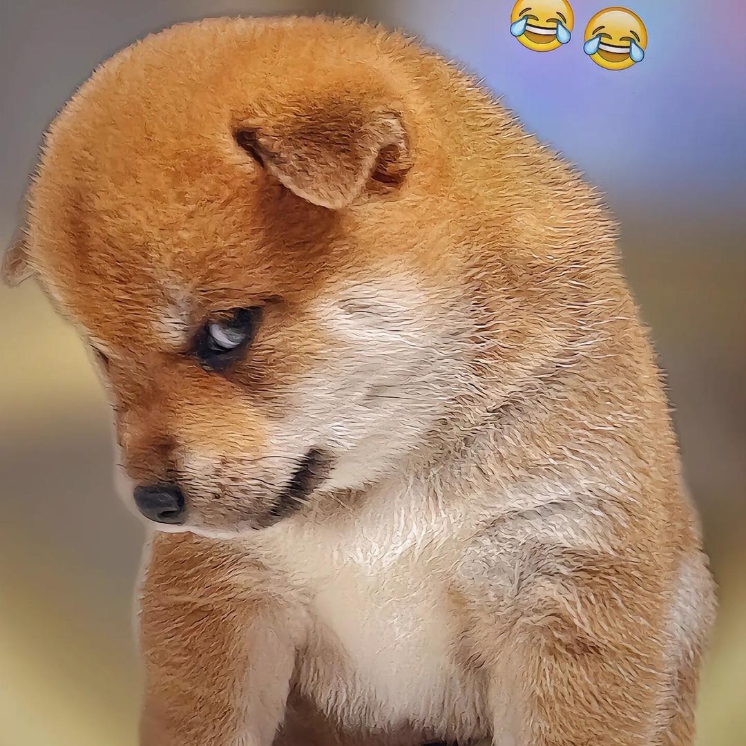 袁州区言优百货