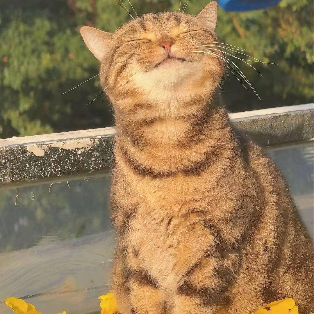 🌟🌟🌟❤️