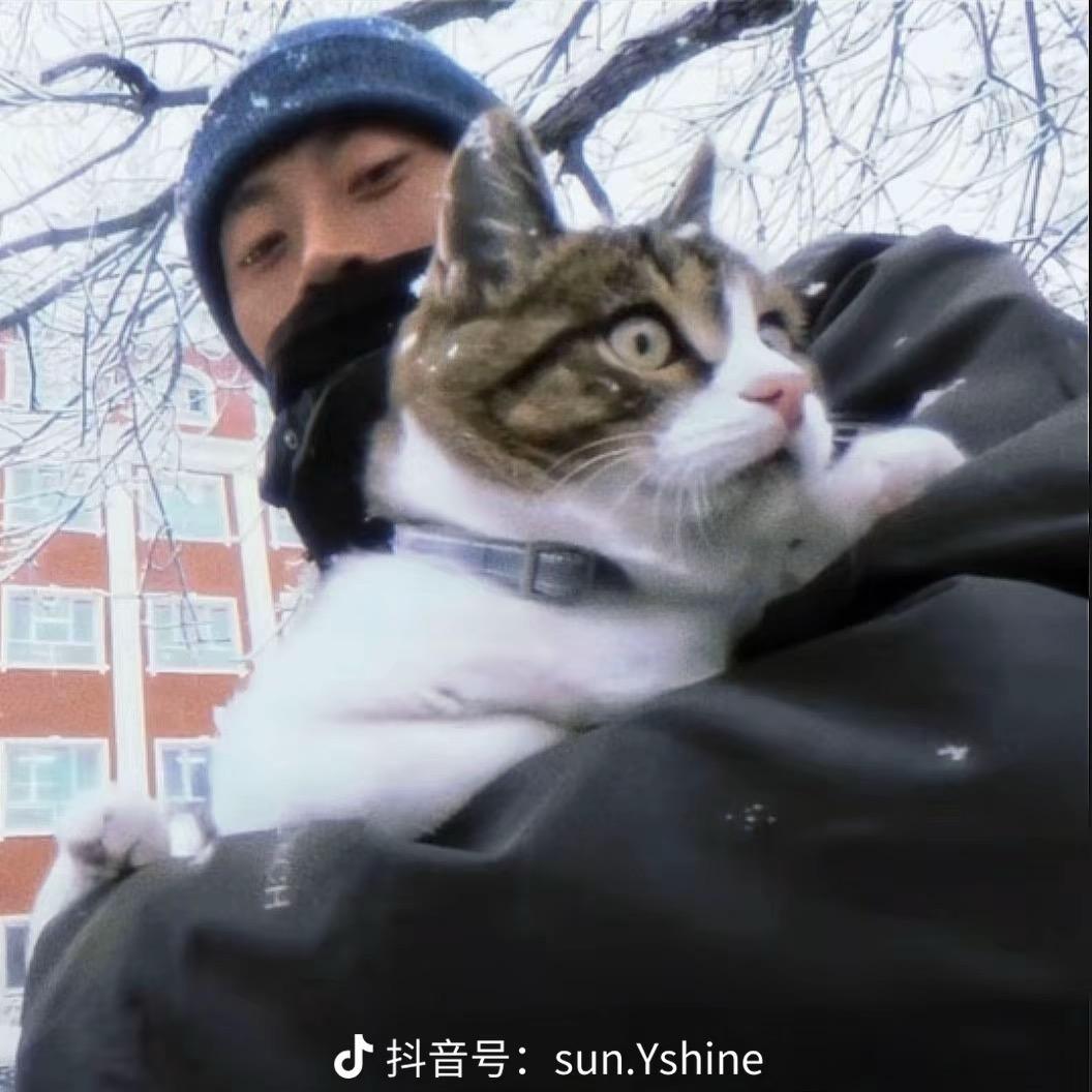 啵啵爱吃香菜