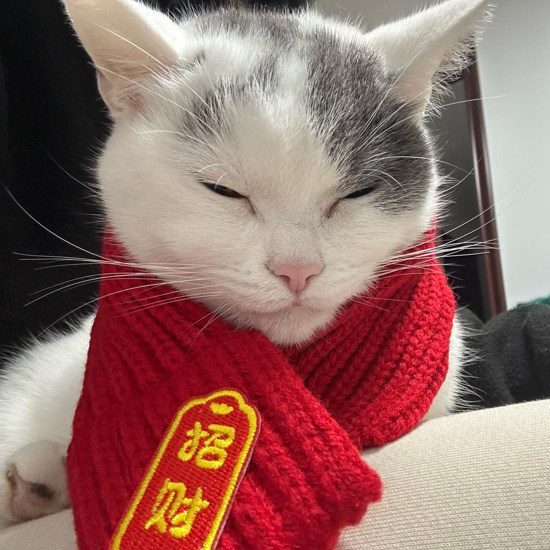 T流伊O清单中只接加急