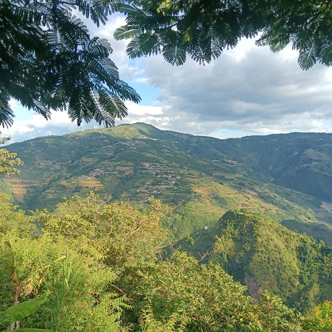 小任山货严选店
