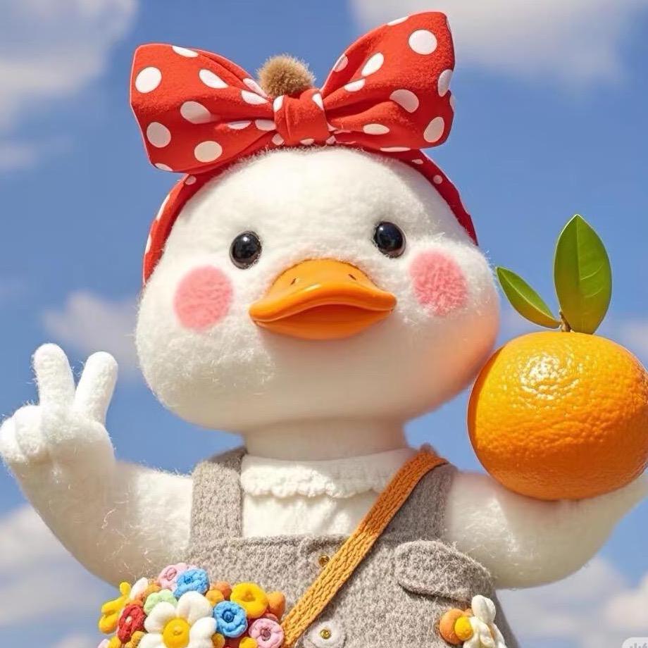 -乐宸好物🍊