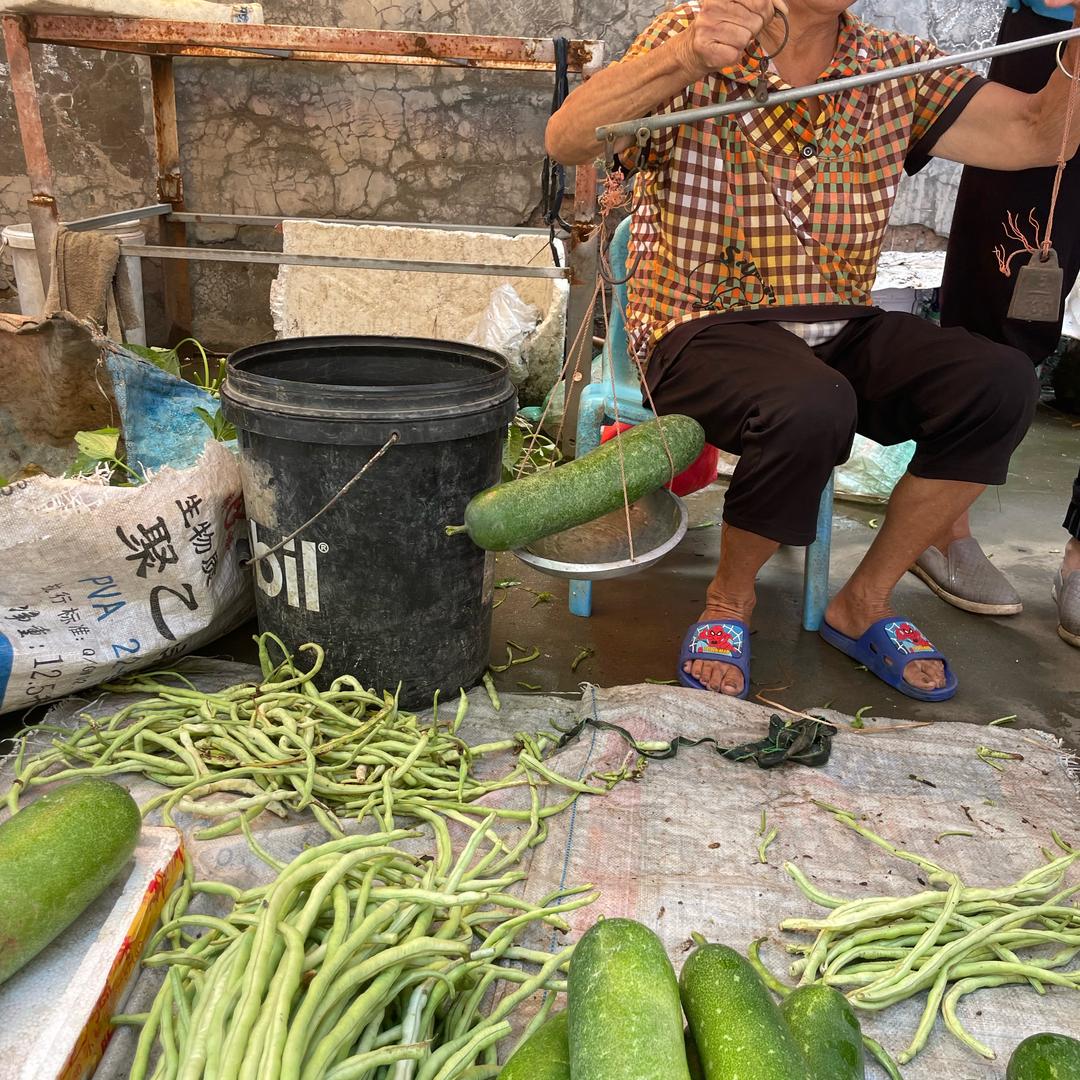 小丑鱼”