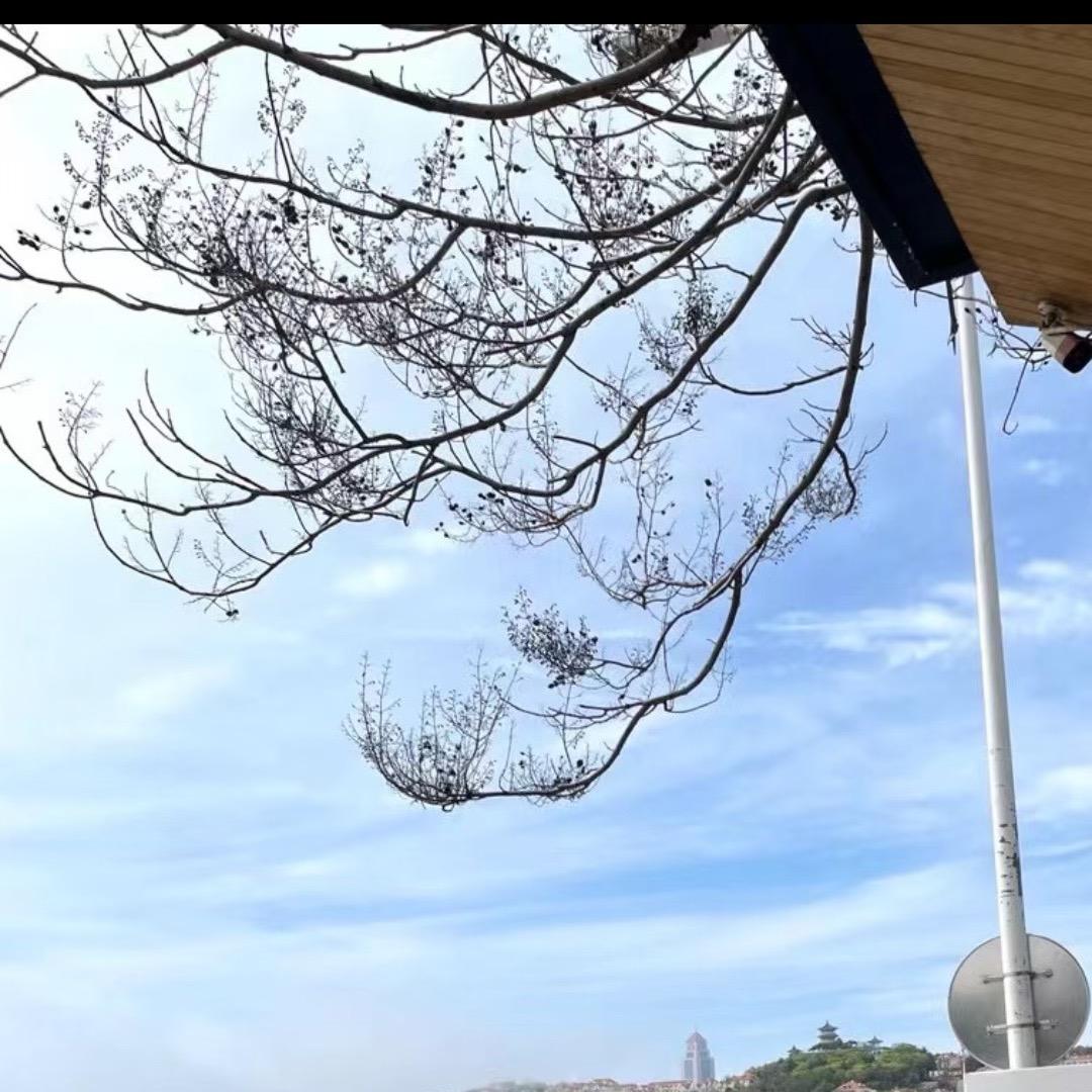 伊人一果❤️❤️