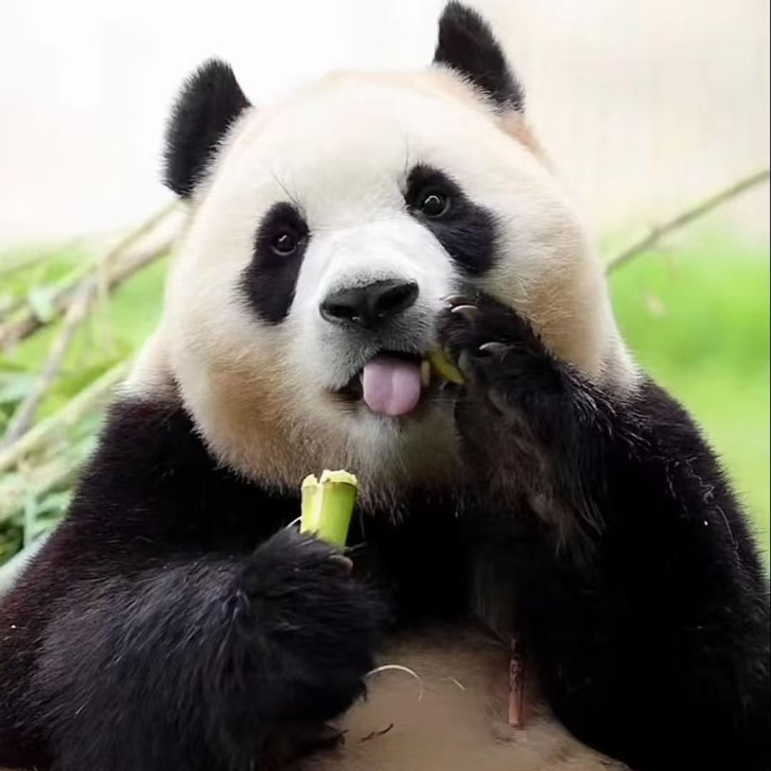 涵涵日记🍀