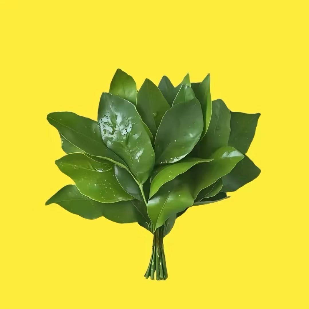 呆呆小店