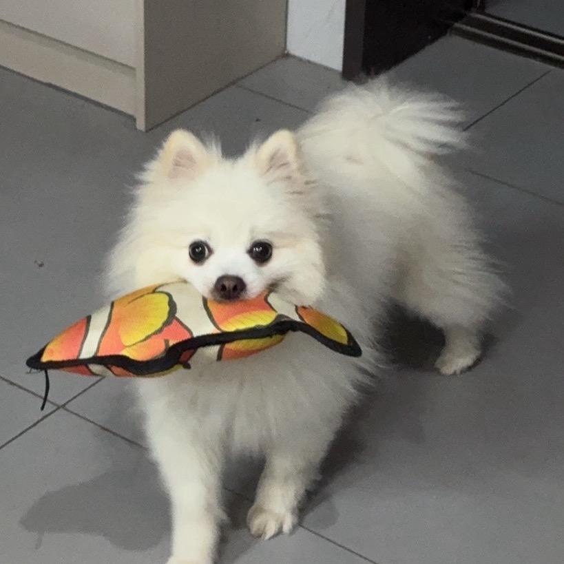 最佳奖得
