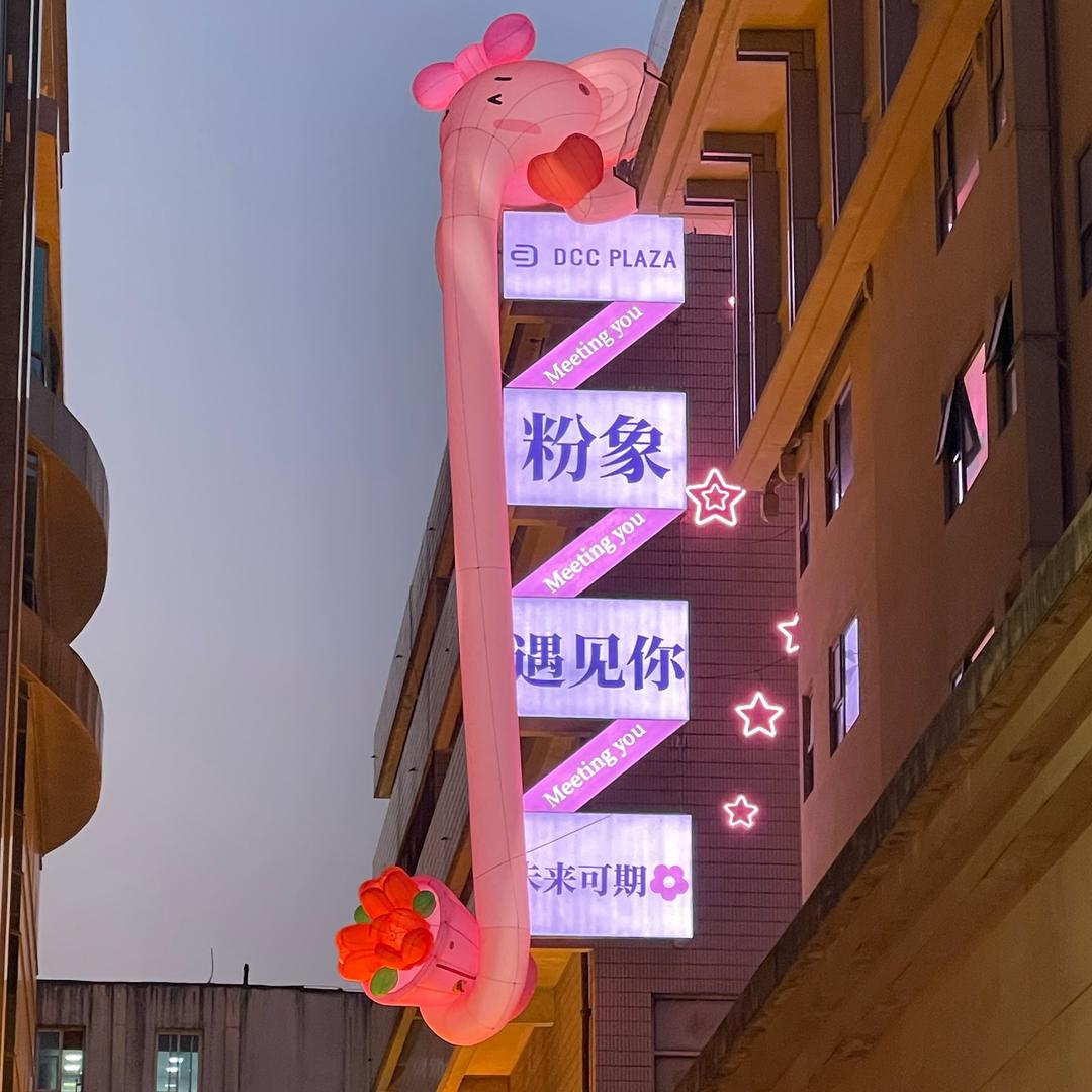 果冻豆