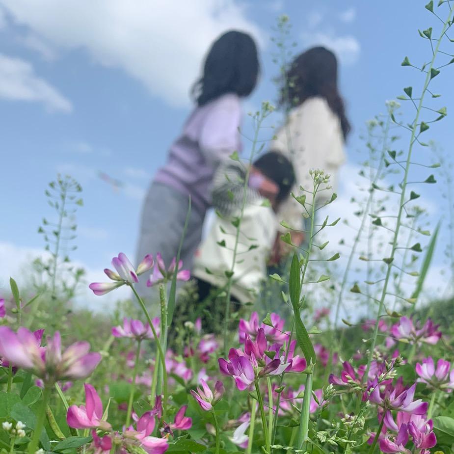 小黑哥