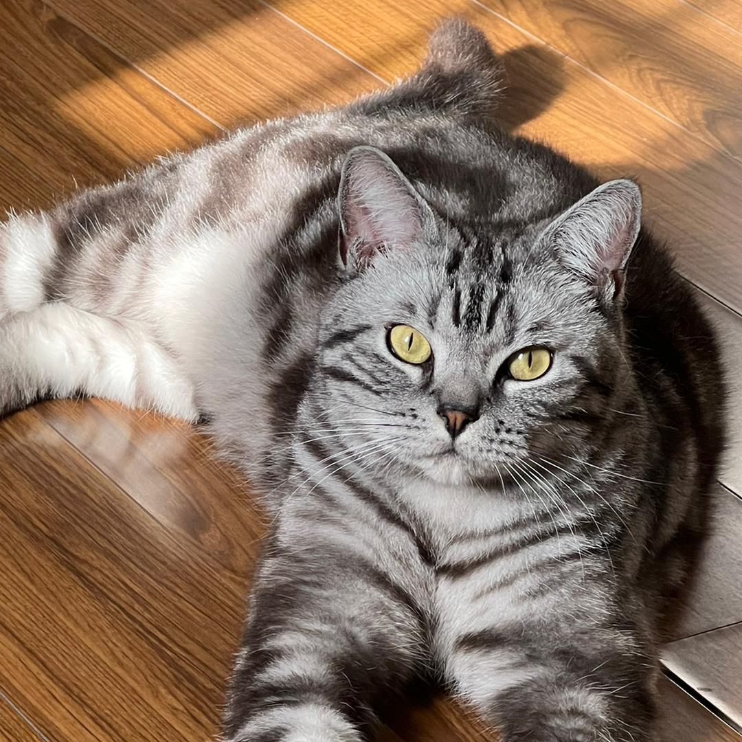 天天好运的百香果