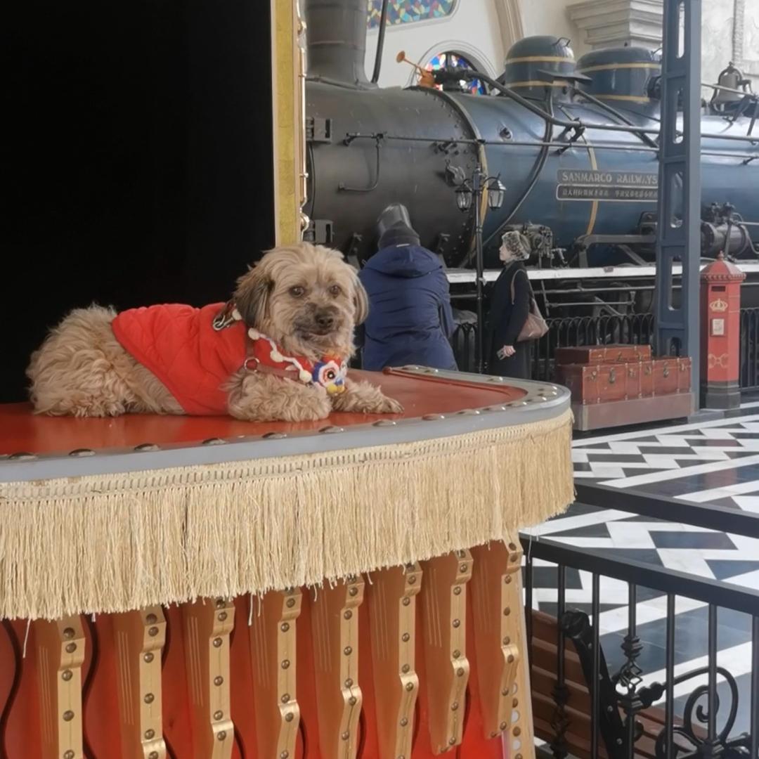 猫猫宝贝咪໑ຼₒ₂₂୧⍤⃝💞