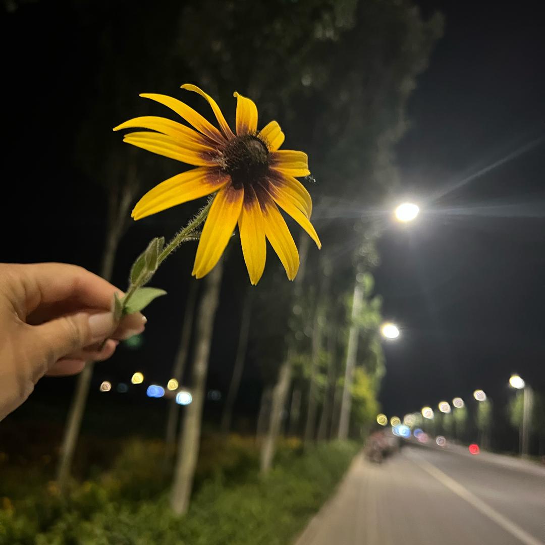 AAA
