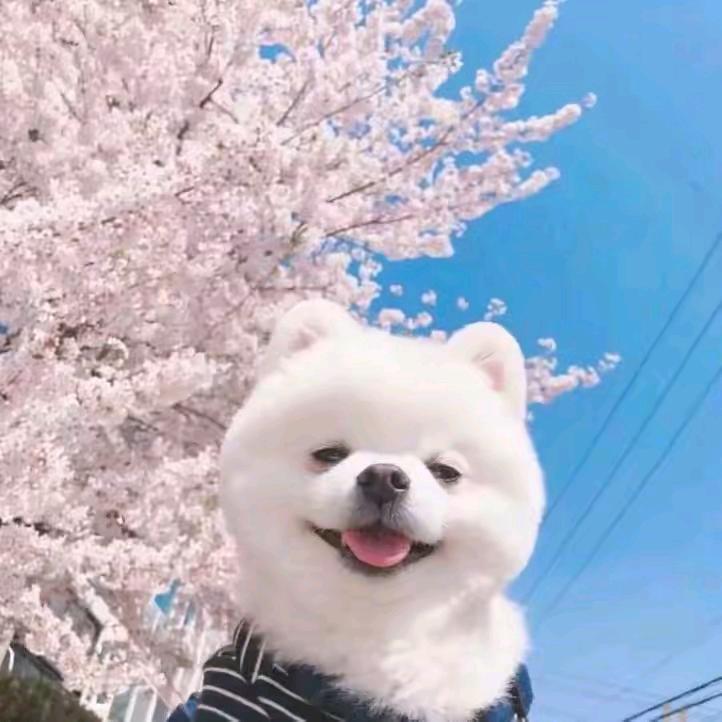 清梦